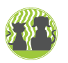 Program antyalergiczny